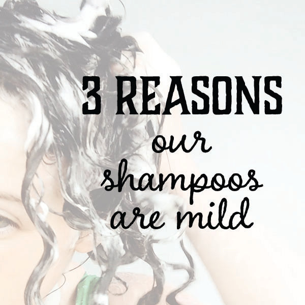 3 Reasons Our Shampoos are Mild